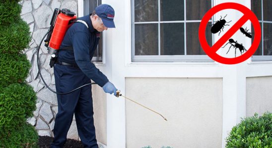 Evka 4 Gümüşkurt İlaçlama böcek ilaçlama ve haşere kontrolü — ilaclama-tr.com